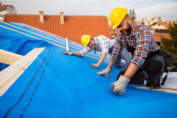 Best Roof Ventilation Installation  in Marble Hill, MO