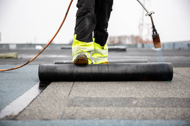 Best Solar Panel Roofing Installation  in Marble Hill, MO